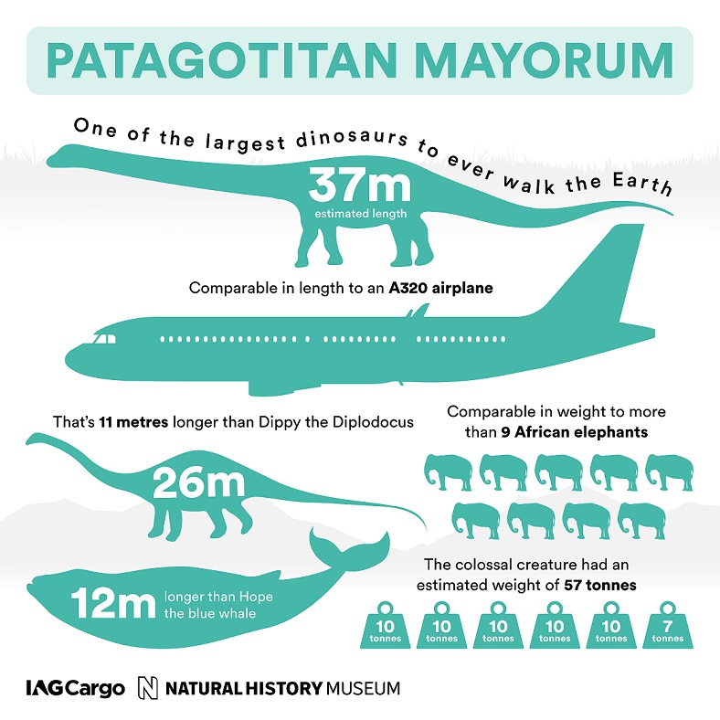 Source: IAG Cargo/ Natural History Museum