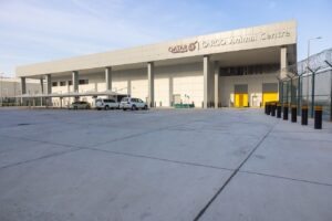 Qatar Cargo expands animal transport operation with world's largest airport facility