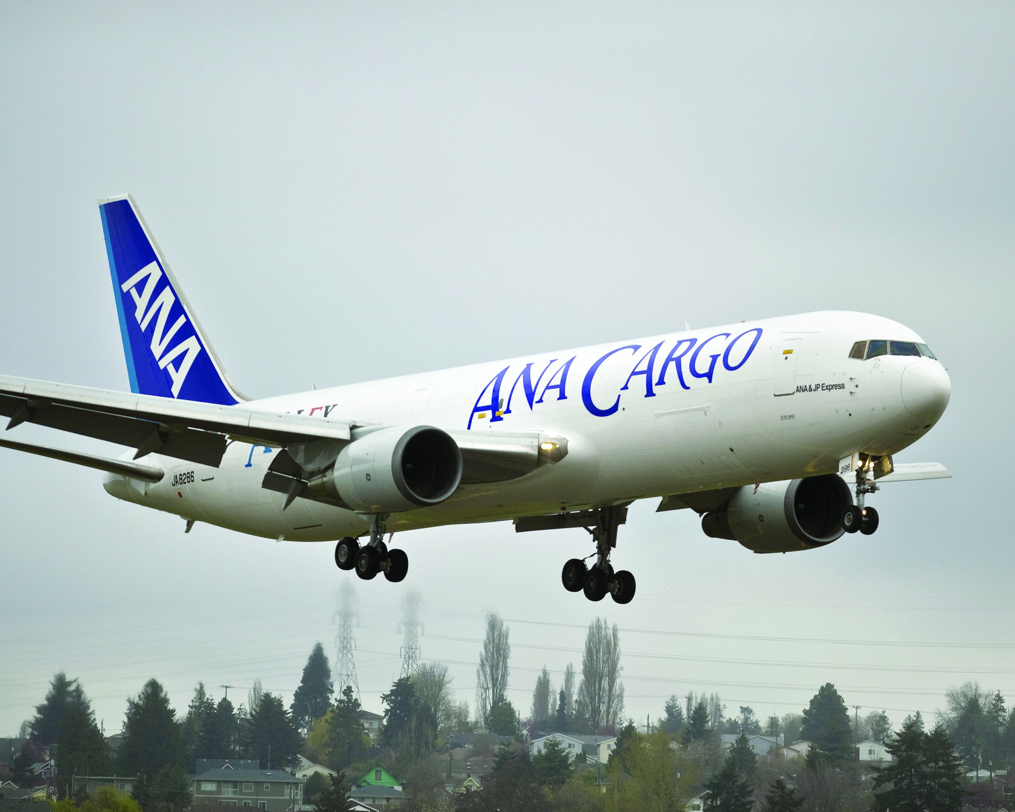 ANA has B767 conversion options for freighter fleet expansion