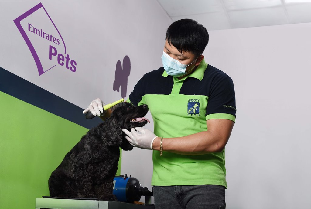 Emirates SkyCargo continues product expansion with pet service